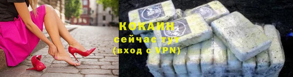 мдпв Туринск