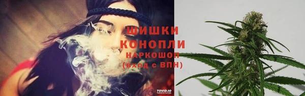 молекула духа Гусь-Хрустальный