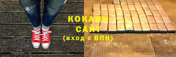 соль ск Горно-Алтайск