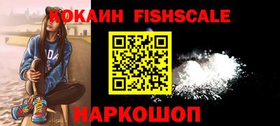 гидра Кингисепп
