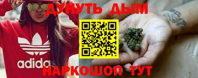 гидра Кингисепп