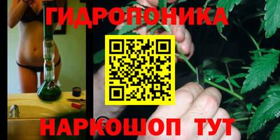 гидра Кингисепп