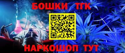 гидра Кингисепп