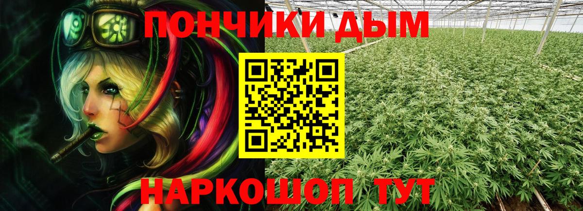 Бошки марихуана Bruce Banner Москва